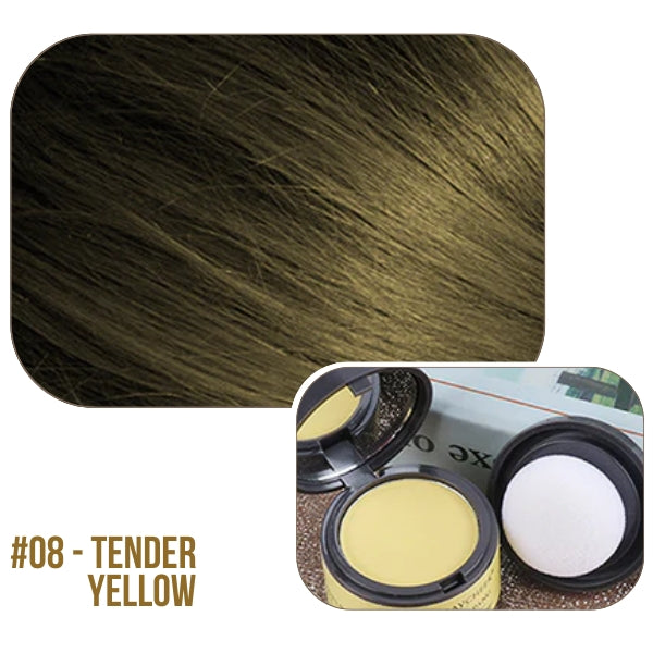 AEXZR® Multi-Purpose Instant Coverage Hairline Powder