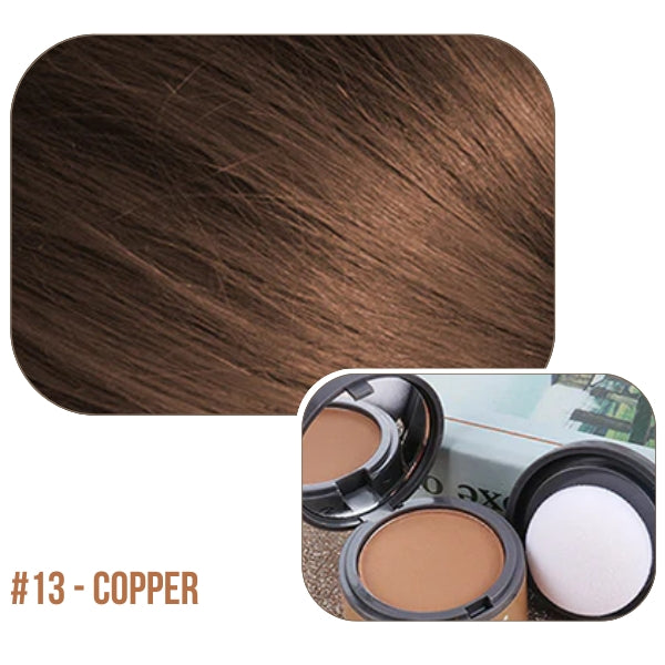 AEXZR® Multi-Purpose Instant Coverage Hairline Powder