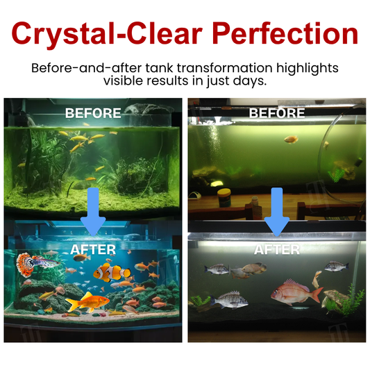 AEXZR® AquaImmune Pro