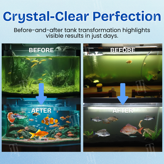 🌟AEXZR® Aquariums Aqua-Guardian Blend