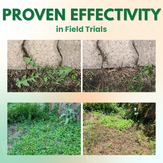 AEXZR® 5 in 1 Max Power Herbicide