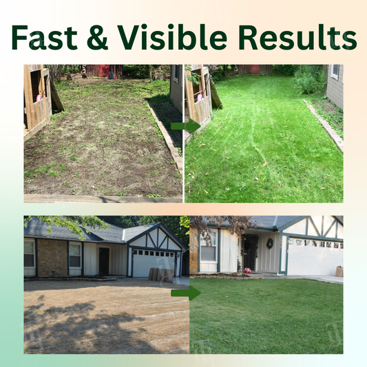 AEXZR® 2 in 1 Max Power Herbicide 🌟 Official Store |