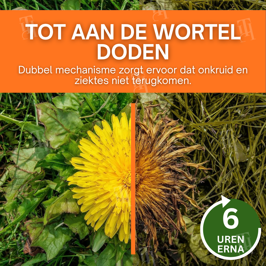 AEXZR® 2-in-1 Max Power Onkruidverdelger