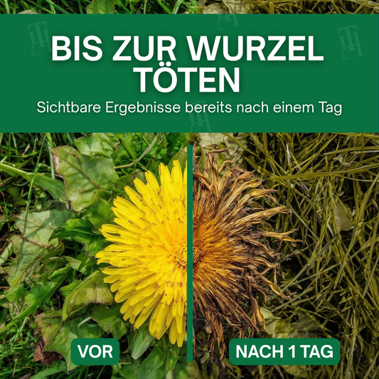 AEXZR® 3 in 1 Herbizid Maximaler Leistung