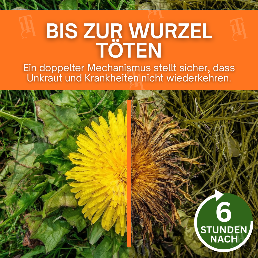 AEXZR® 2-in-1 Max Leistung Herbizid