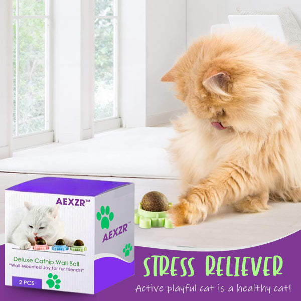 AEXZR™ Deluxe Catnip Wall Ball