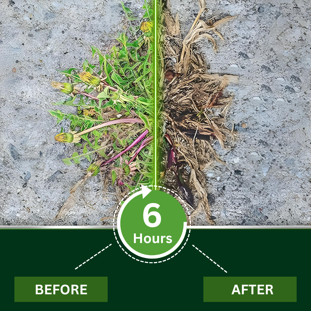 AEXZR® 2 in 1 Max Power Herbicide 🌟 Official Store |