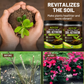 AEXZR® BioChar-Grow Soil Activator