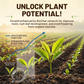 AEXZR® BioChar-Grow Soil Activator