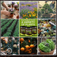 AEXZR® BioChar-Grow Soil Activator