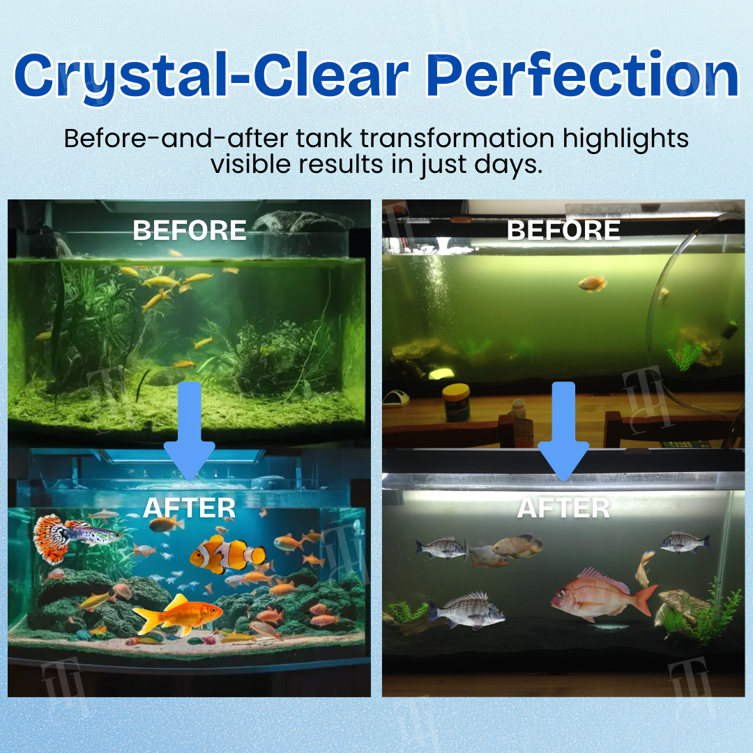 AEXZR® Aquariums Aqua-Guardian Blend