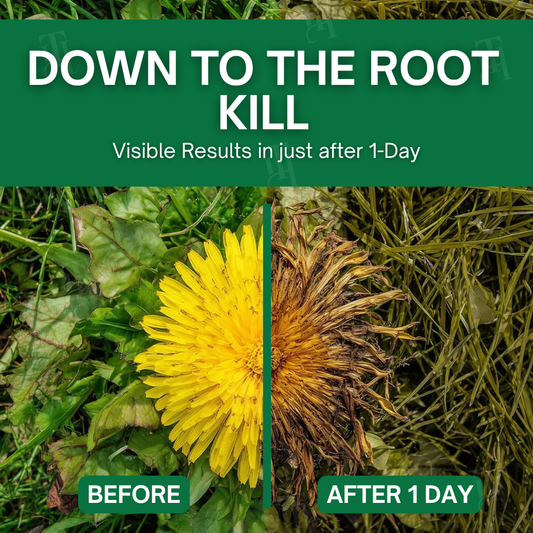 AEXZR® 3 in 1 Max Power Herbicide