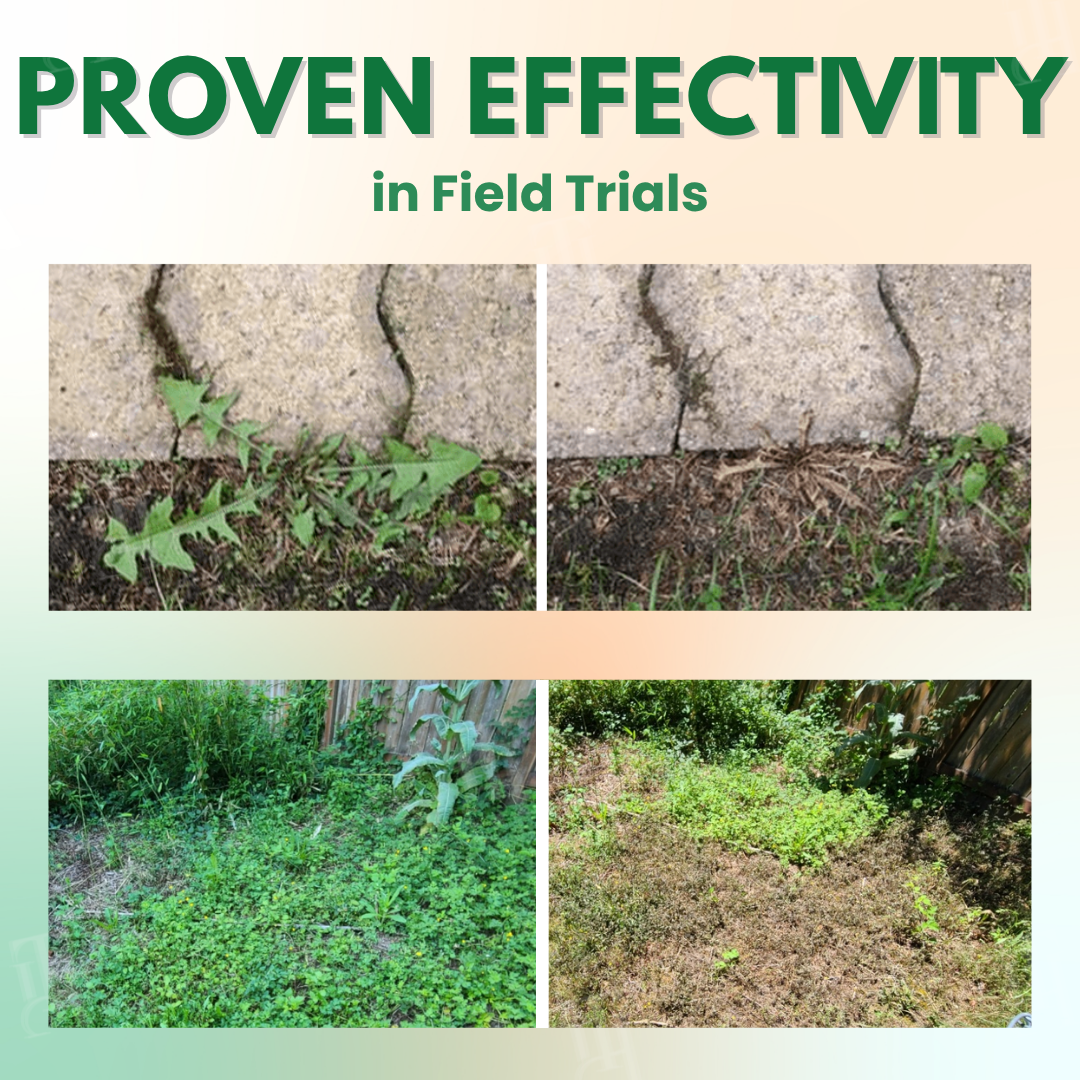 AEXZR® 5 in 1 Max Power Herbicide