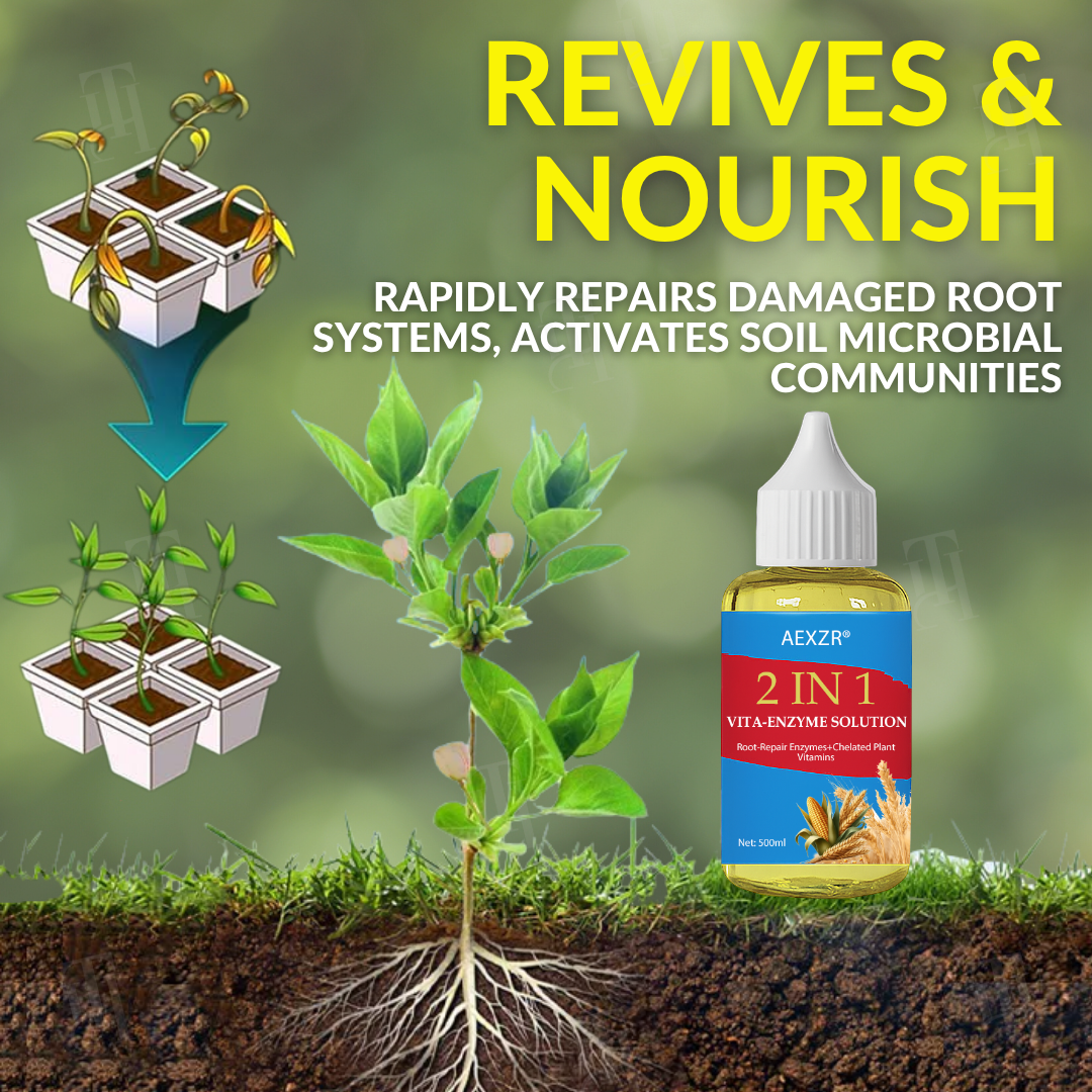 AEXZR® 2 in 1 Vita-Enzyme Solution