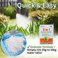 AEXZR® 2 in 1 Max Power Herbicide 🌟 Official Store |