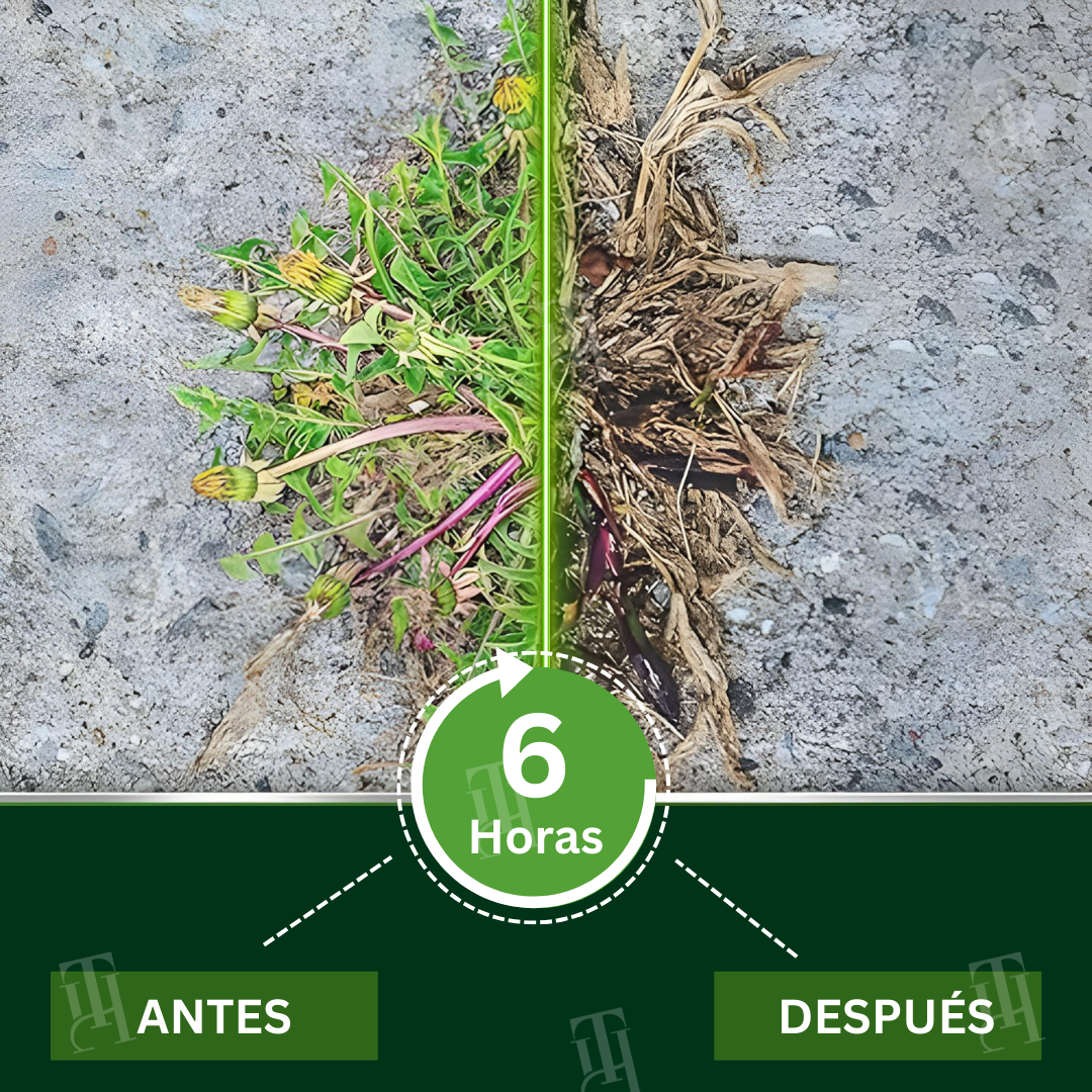 AEXZR® 2 en 1 Herbicida de Máxima Potencia